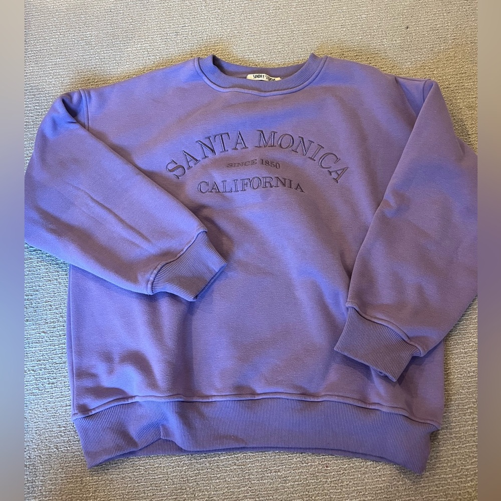 LITTLE STEVEN purple Santa Monica crewneck sweatshirt!